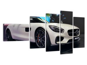 Obraz závodního automobilu