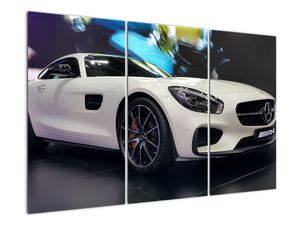 Obraz závodního automobilu
