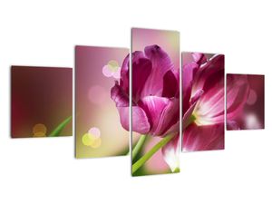 Obraz tulipánů