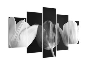 Černobílý obraz - tři tulipány