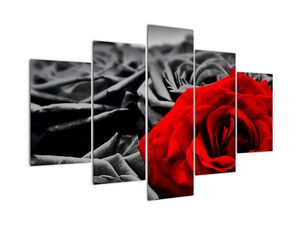 Obraz červené růže