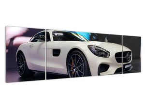Obraz závodního automobilu