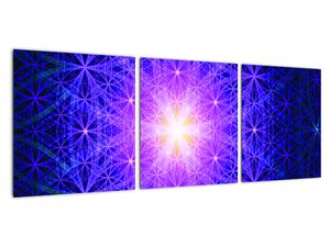 Obraz: růžový květ