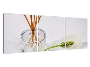 Moderní obrazy