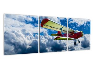 Obraz letadla - veterán