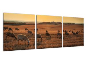 Obraz - panorama krajiny na zeď