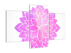 Obraz: růžová mandala