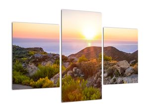 Obraz na zeď